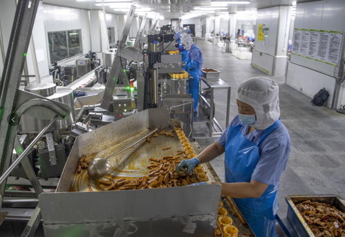 食品加工业