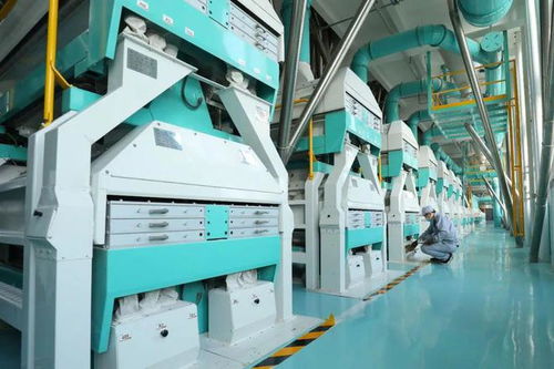 大名上榜 2024年度河北省中小企业特色产业集群名单公布