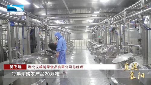 湖北省老河口市 四大农业产业链 助力农业高质量发展