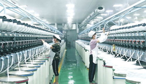 望江 家门口就业助振兴