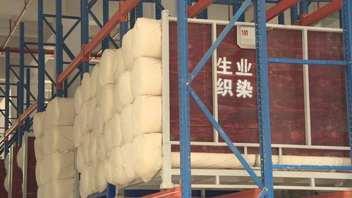做强做大纺织印染环保处理中心 助推内衣家居服装行业持续发展