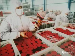 鸡泽之约 携手共创纺纱销售新篇章