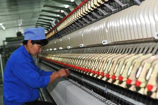 宁夏灵武 占据全球羊绒原绒产量44%的纺纱加工重镇