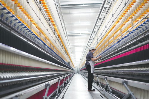 创新有道 大显身手——民营经济高质量发展观察之一 纺纱加工