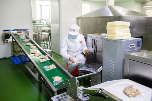 新华全媒+丨湖南宁乡 食品企业加工忙 纺纱企业赶工急