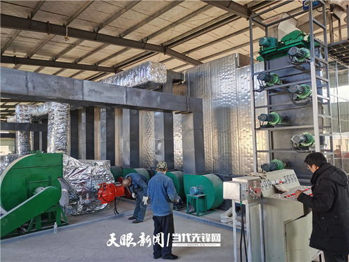 施秉 万亩魔芋产业升级，深加工与纺纱双轮驱动