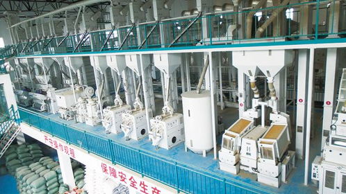 保山市农产品加工业迈上高质量发展新台阶