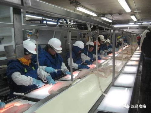 中国水产加工企业如何提升国外市场议价权