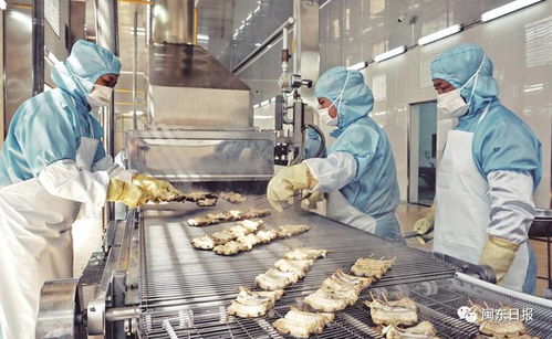 开发三都澳 建设新宁德 三同工程助力水产加工业转型升级，东侨提升配套服务北部新区产业发展