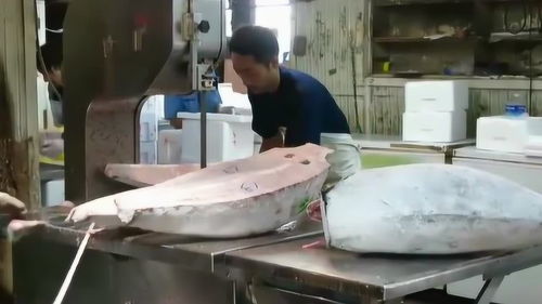 高效精准 现代加工厂处理冰冻金枪鱼的印染加工技术